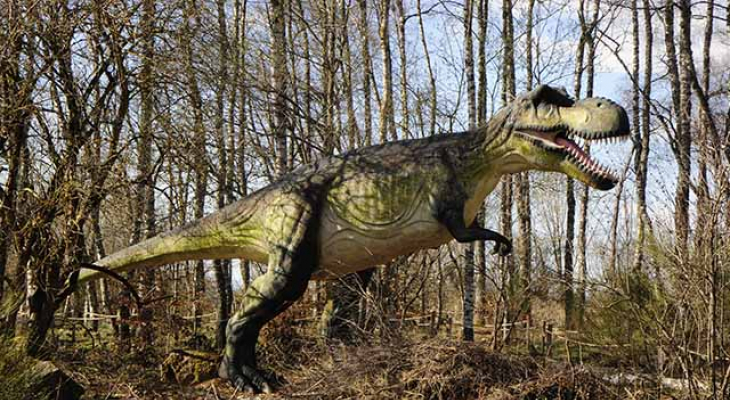 Vulcania a 15 ans : demandez le programme !