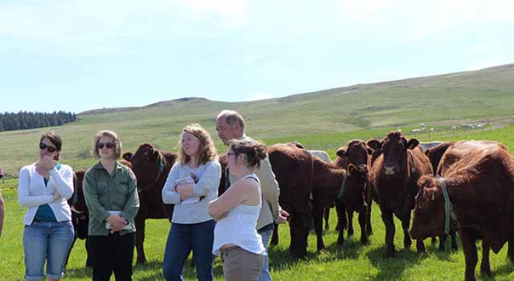 La filière viande et élevage ouvre ses portes