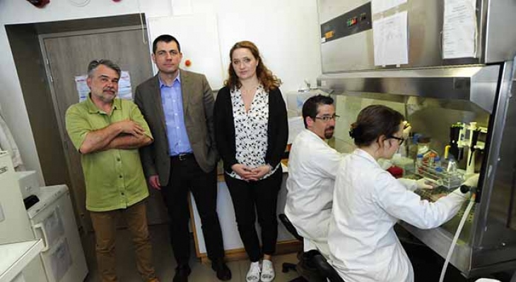 Une filière locale pour les plantes médicinales