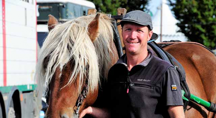 Le débardage du bois au rythme des chevaux