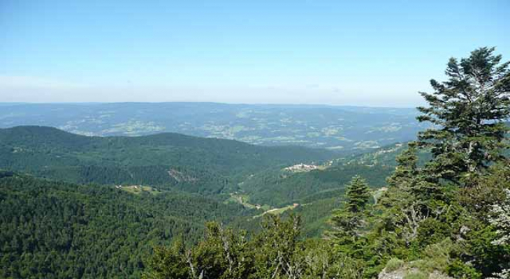 La fête de la nature revient