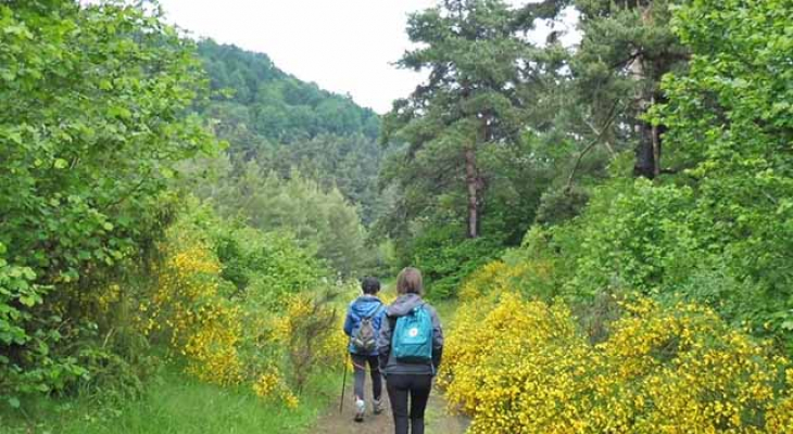 Une marche pour les Tibétains