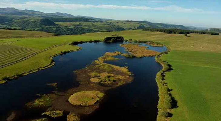 Des balades naturalistes dans le Puy-de-Dôme