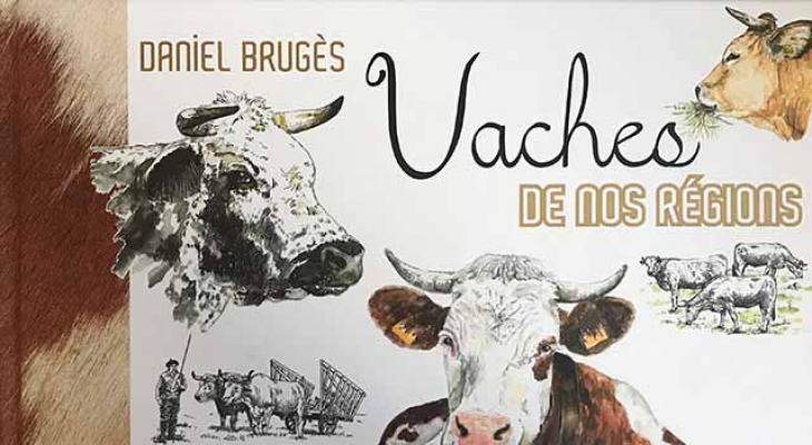 Les « Vaches de nos régions »