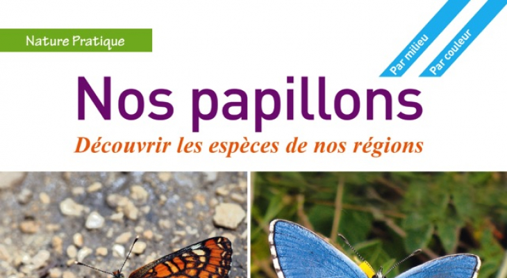 Les papillons de nos régions