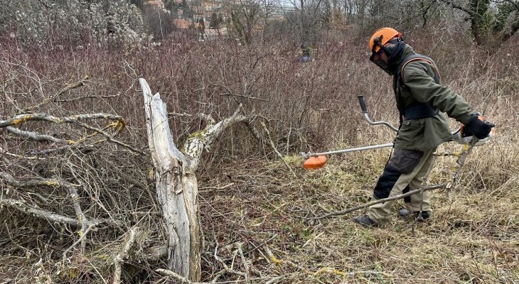 Zone maraîchère de Beaumont : le défrichage a débuté avant une mise en culture