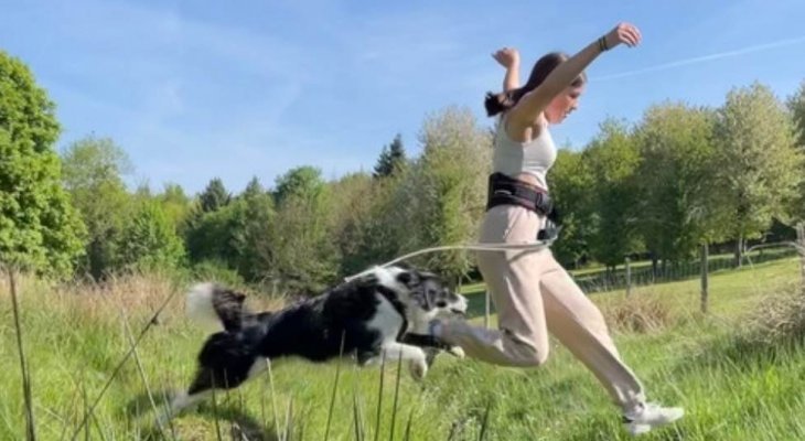 « Dog warrior » : le lycée de St Gervais d'Auvergne lance sa course d'obstacles canine