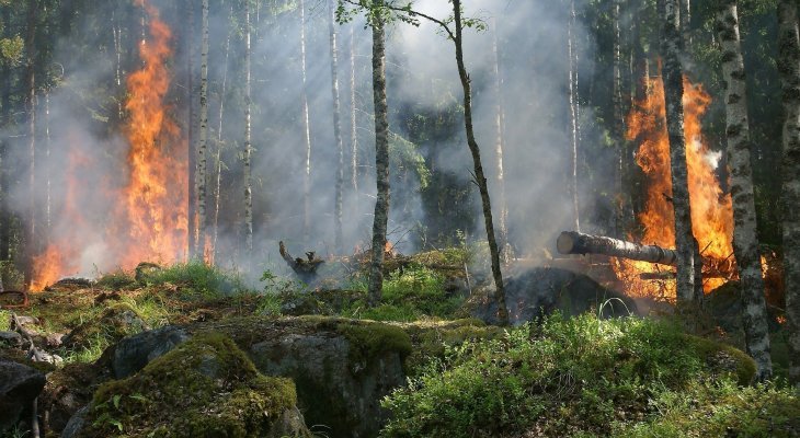 Feux de forêt : la Préfecture appelle à la vigilance de tous