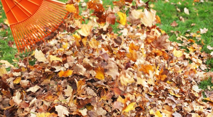 À faire à l'automne, recycler les feuilles mortes pour créer un potager