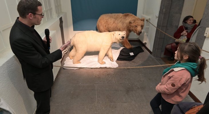 Mythes et réalités : l'ours sort ses griffes au Musée Lecoq jusqu'au 22 septembre