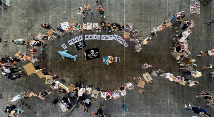 Députés et sénateurs demandent à Emmanuel Macron d'agir pour libérer Paul Watson, le défenseur de la vie marine