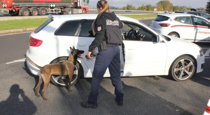 Maître-chien de gendarmerie : « Chercher une personne ou de la drogue passe par le jeu »