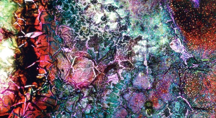 Lara Tabet : la fusion des arts et des sciences