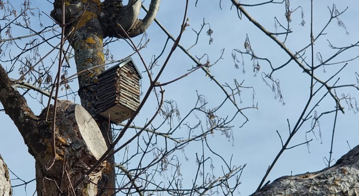 Châtel-Guyon crée des gîtes biodiversité