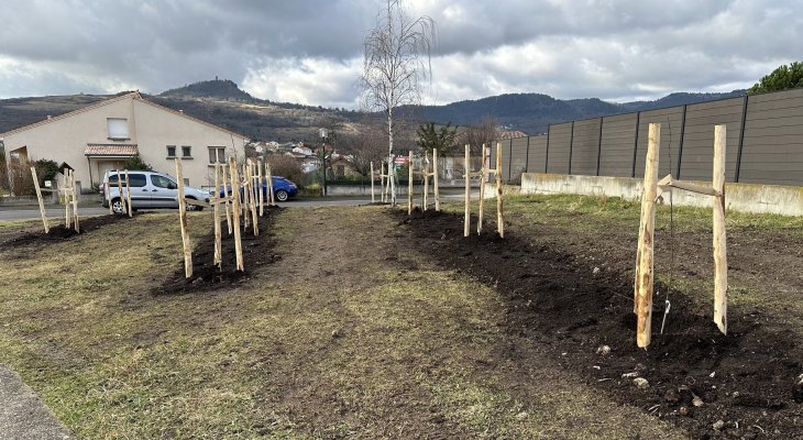 Toujours plus d'arbres plantés à Beaumont  