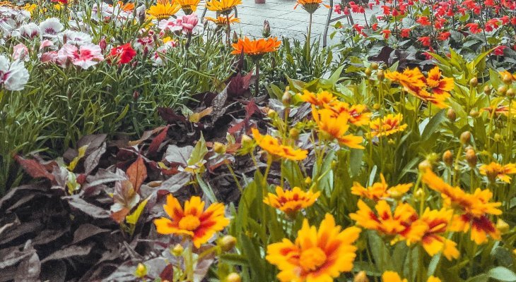 « Mon jardin à Clermont » 2025 : inscriptions ouvertes