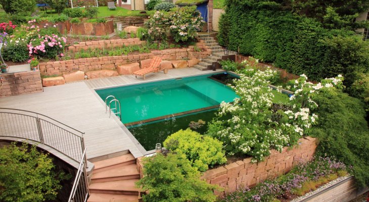 La piscine naturelle, une option plus écologique et économique