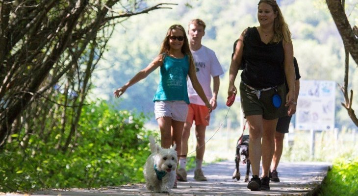 Toutou Sancy : un label qui a du chien