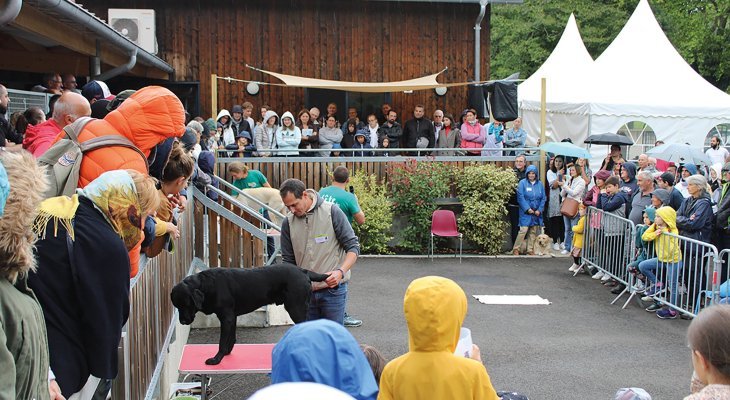 Lezoux : entrez dans l'univers des chiens guides d'aveugles