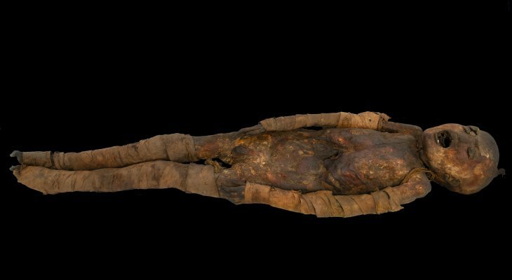 La momie des Martres d'Artière exposée au Musée de l'Homme à Paris
