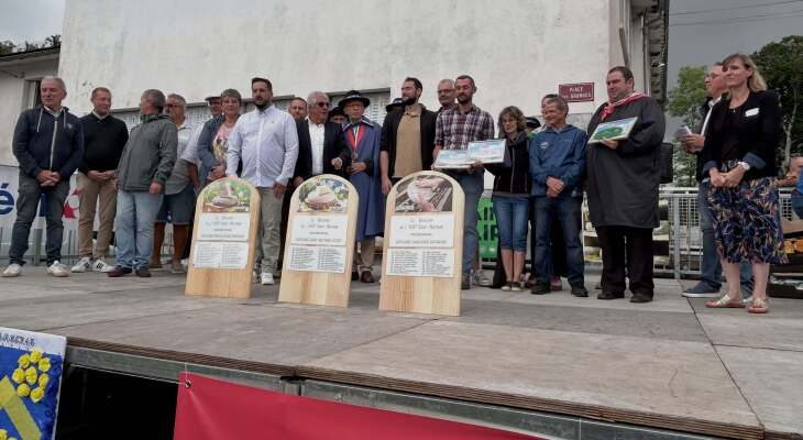 Concours Officiel AOP Saint-Nectaire : les lauréats