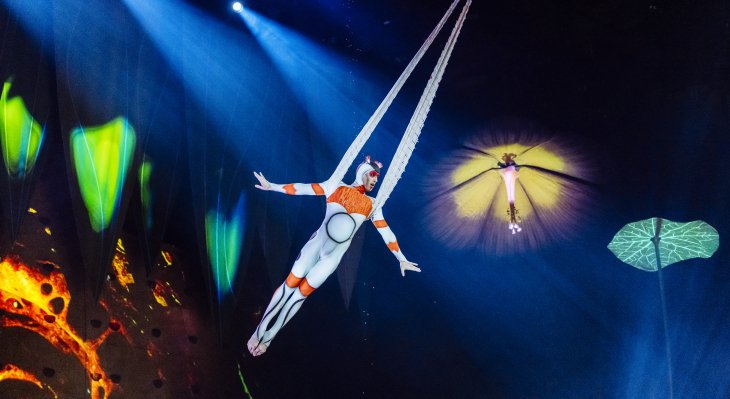 Le Cirque du soleil au Zénith d'Auvergne pour 6 spectacles grandioses avec « OVO » !