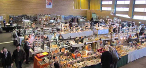 Minéraux et fossiles à Châtel-Guyon