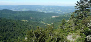 La fête de la nature revient
