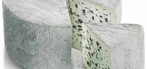 L’AOP Bleu d’Auvergne évolue