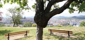 Une chasse aux œufs à Montjuzet