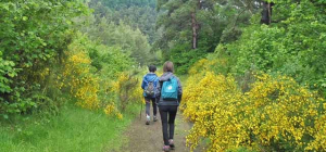 Une marche pour les Tibétains