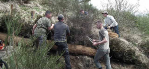 Le Parc des volcans au chevet des puys
