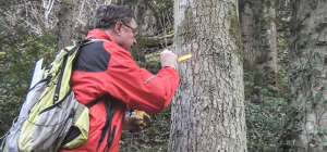 Pour le bonheur des randonneurs