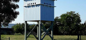 Un pigeonnier « contraceptif » à Clermont