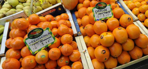 Biodiversité, pesticides… Les membres du GREFFE tirent le signal d’alarme