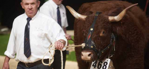 L’élevage au sommet