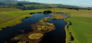 Des balades naturalistes les 17 et 20 octobre