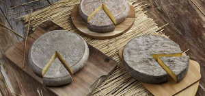 Un contrat de filière pour l’AOP saint-nectaire