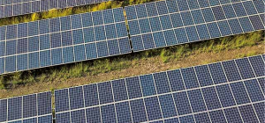 Investissez dans le photovoltaïque