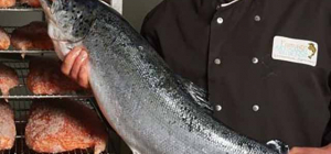 Le meilleur du saumon pour les fêtes