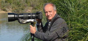 La vie sauvage de nos jardins décryptée