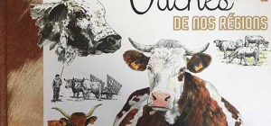 Les « Vaches de nos régions »
