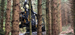 Des travaux sur le puy de Chaumont