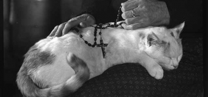 Albert Monier, entre humanisme et symbolisme