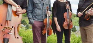 Cordofonic surfe sur la toile