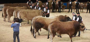 Sommet de l’élevage : le salon fait recette