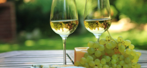 Vinora : les vins volcaniques ont leur salon