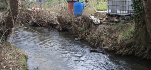 Pour améliorer la qualité de l’eau