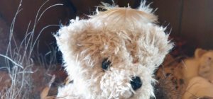 « AlchiMiE » : quand l'art transforme la réalité en une fiction poétique