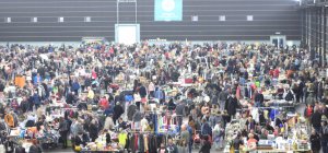 Pas de Troc Info en 2020